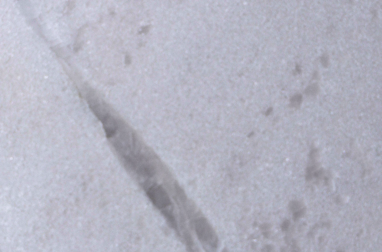 Bianco finish